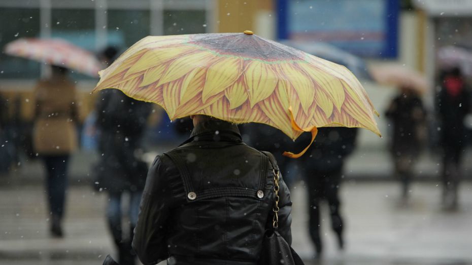 Новая неделя начнется с дождей в Воронежской области