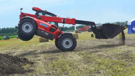 Межрегиональная выставка «День воронежского поля» пройдет 29-30 июня