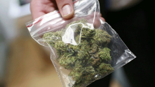 В Богучарском районе сотрудники Госавтоинспекции изъяли у водителя более 6 граммов марихуаны