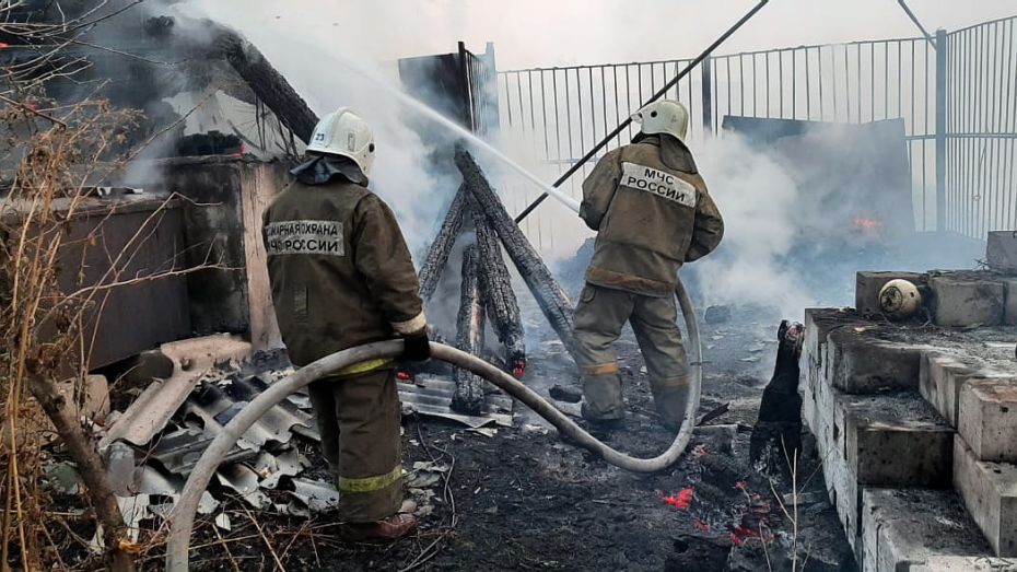 Природные пожары уничтожили 28 домов за выходные в Воронежской области