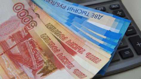 После интереса силовиков воронежские фирмы вернули в бюджет 222 млн рублей
