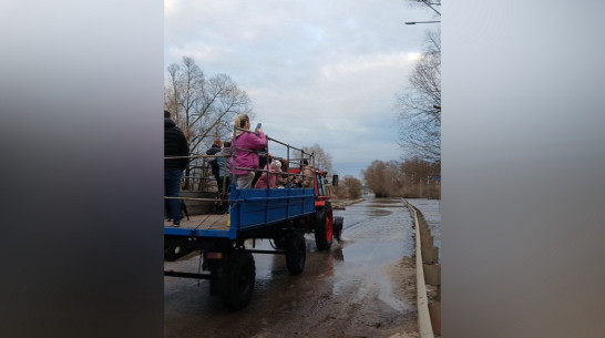 Проезд по затопленному мосту сняли на видео под Воронежем