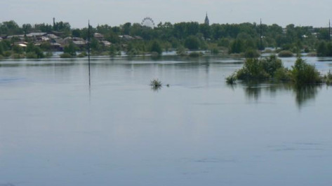 Эксперты: временный мост через реку Ворона в Борисоглебском районе может быть затоплен во время половодья