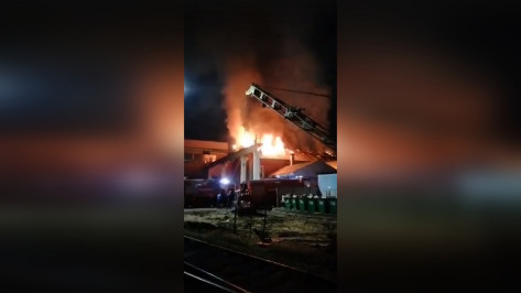 Пожар в цехе по ремонту электровозов попал на видео в Воронежской области
