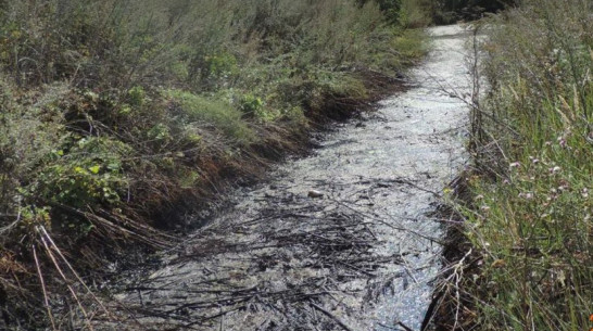 В Воронежской области нефтебаза загрязнила почву