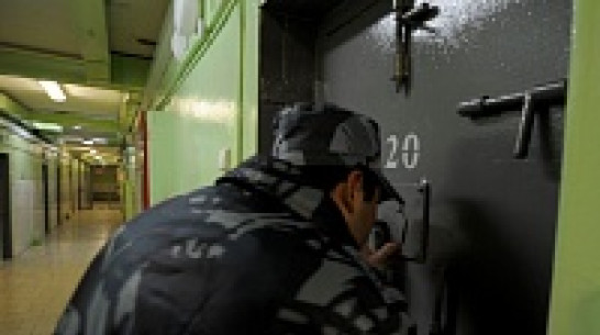 Адвокат Марк Фейгин: «Надежды Савченко в Лефортово нет»