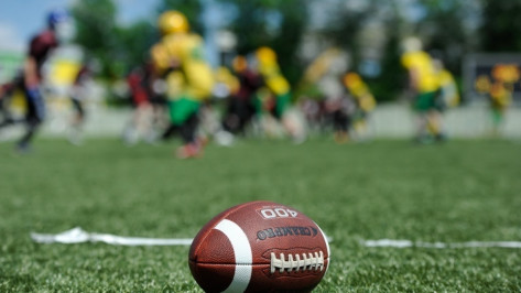 Воронежские «Могучие утки» победили сборную Липецкой области