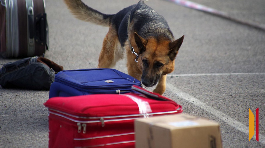 Воронежцам напомнили, что делать при обнаружении подозрительных предметов на улице