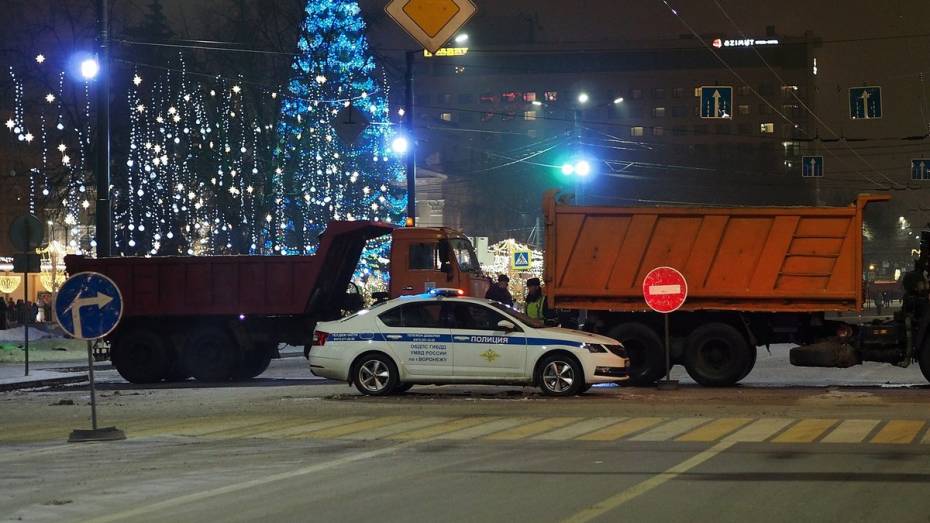 Охрана новогодней площади Ленина в Воронеже будет стоить до 4,4 млн рублей