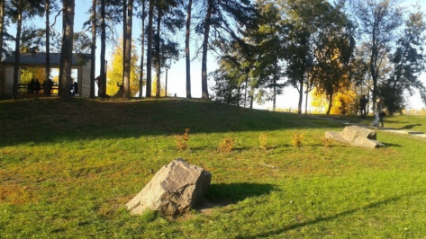 Фестиваль «Здоровый Воронеж» начнется 27 мая