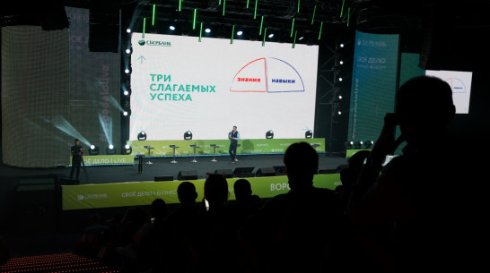 Как малому бизнесу стать крупным. Советы федеральных экспертов воронежским предпринимателям