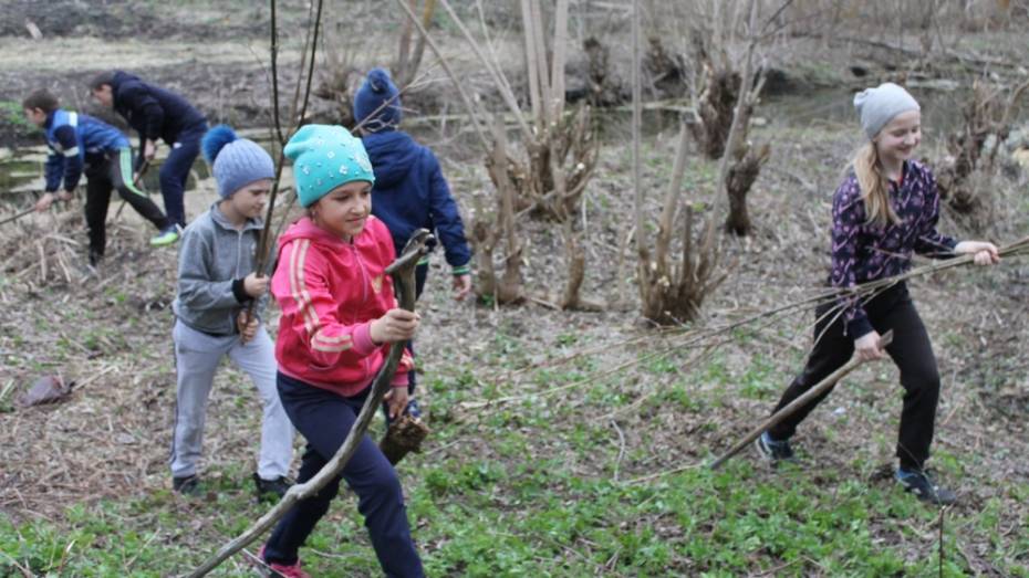 Верхнемамонские школьники объявили экомарафон к 310-летию села Лозовое
