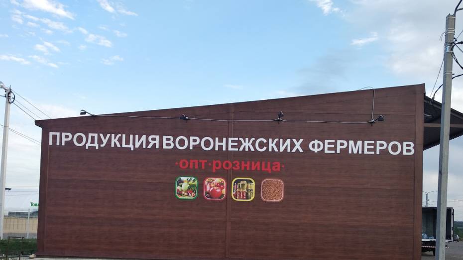 В Воронеже открылся оптово-розничный склад местных сельхозпродуктов