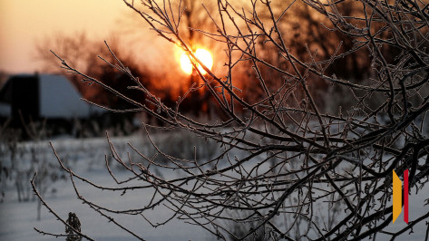 Воронежцев ждут морозные выходные