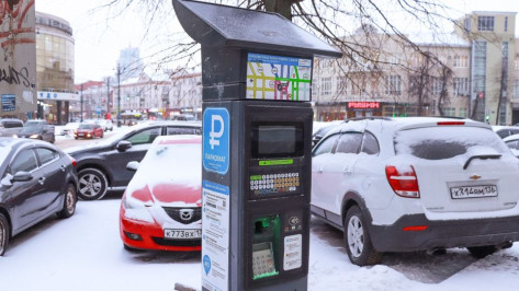 Парковки в Воронеже станут бесплатными с 30 декабря