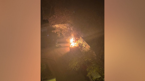 В Ленинском районе Воронежа ночью загорелись 3 машины: видео
