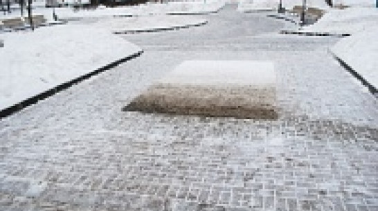 В Воронеже художница из Парижа расскажет о своих «живых проектах»