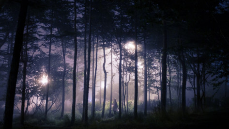 Воронежские волонтеры за неделю нашли живыми 22 пропавших человека