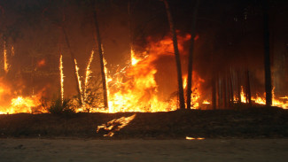 В Воронежской области из-за пала травы за сутки произошло 138 ландшафтных пожаров
