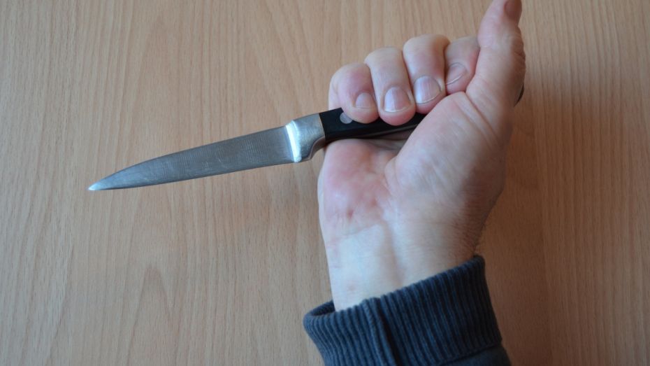 В Лисках житель Тульской области трижды ударил ножом земляка