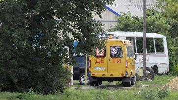 Автобусами для учеников обеспечат 380 школ в Воронежской области