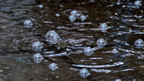 В Воронеже в выходные пройдут дожди и грозы