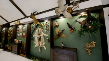 В Воронежской области открылся музей охоты