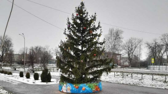 В грибановском селе Нижний Карачан установили 7-метровую новогоднюю ель