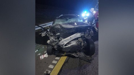 В Воронежской области «Лада» врезалась в Shacman: водитель легковушки погиб, пострадали двое детей и женщина