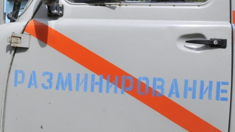 Воронежцы вызвали спецслужбы из-за спортивной сумки во дворе многоэтажки