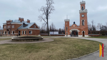 «О Рамони с любовью»: воронежцев позвали на бесплатную экскурсию