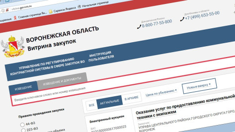 Объявленные в Воронежской области аукционы выставили на «Витрине закупок»