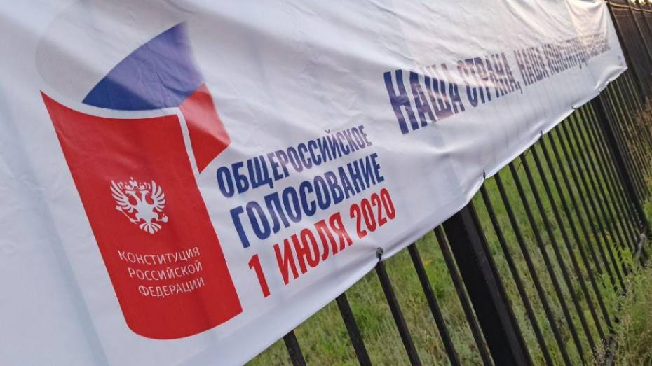 В Воронежской области проголосовали 47,91% избирателей