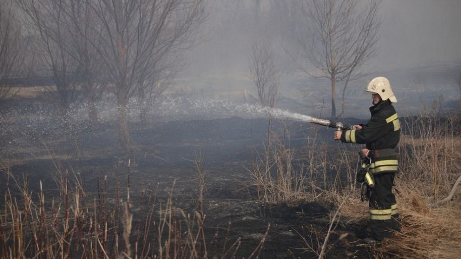 За последнюю неделю марта в Россошанском районе произошло 19 пожаров 