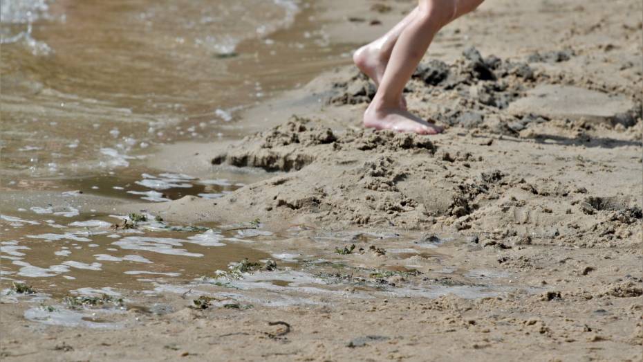 Под Воронежем закрыли пляж на базе отдыха, где дети подхватили острую кишечную инфекцию
