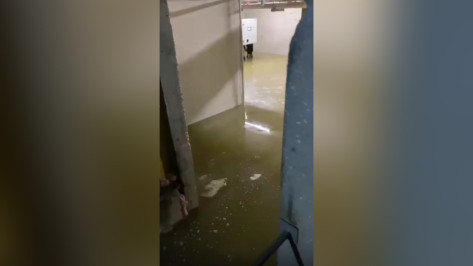 «Все провонялось»: канализация затопила подвал дома в ЖК «Новое Подгорное» в Воронеже