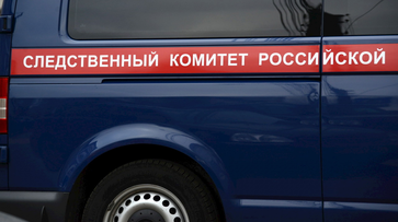 В Воронеже СК проверит данные СМИ о люке, из-за которого 6-летняя девочка подвернула ногу