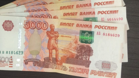 Доходы воронежцев в 2023 году превысли 848 млрд рублей
