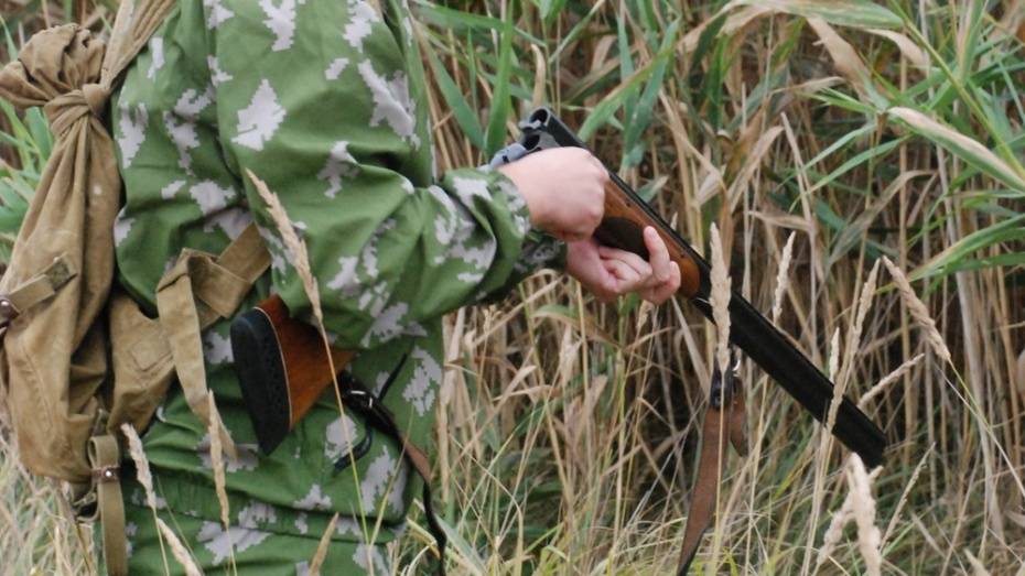 В Воронежской области мужчина получил огнестрельное ранение во время охоты на зайца