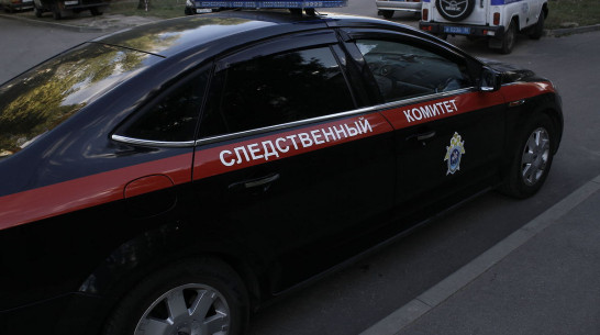 Глава СК запросил доклад по делу о покушении на убийство школьника в Воронежской области