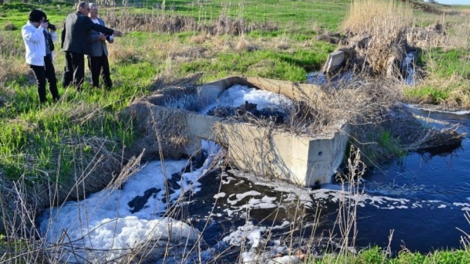 Воронежская прокуратура проверит сообщения о загрязнении реки сахзаводом