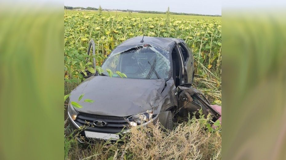 В Воронежской области ВАЗ вылетел в кювет: водитель погиб на месте