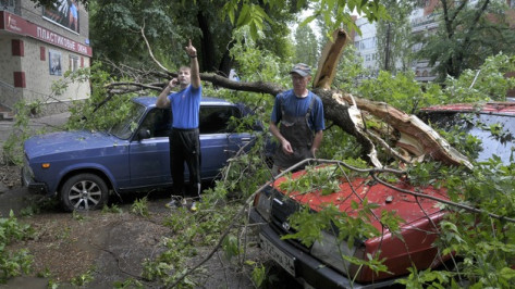 Главный метеоролог региона раскритиковал экстрасенса, предсказавшего ураган в Воронежской области 