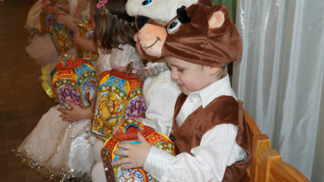 Воронежские дети останутся без праздничных представлений