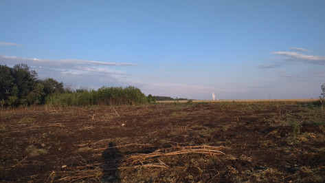 Воронежский историк сообщил о несогласованных работах на объекте культурного наследия 