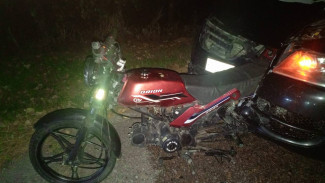 В Воронежской области Volkswagen врезался в мопед: двое пострадали