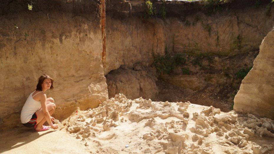 Археологи: человек разумный жил на территории Воронежской области 35 тыс лет назад 