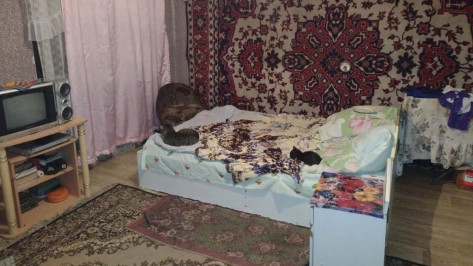В Воронежской области перед судом предстанет женщина, убившая своего брата