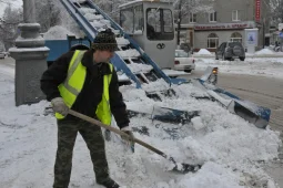 Главы воронежских управ лично проконтролируют очистку тротуаров от снега и наледи