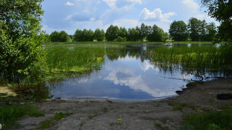 В Воронежской области на пляже умер мужчина 